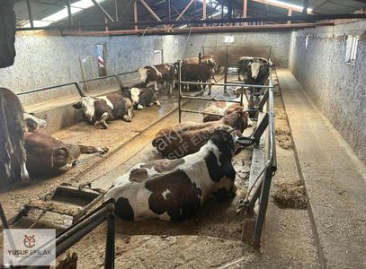 Arsa-Özel Kullanım