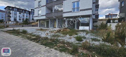 İşyeri-Dükkan & Mağaza