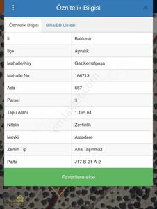 Ayvalık Mutluköy'de Resmi Yola Cephe Manzaralı Zeytinlik
