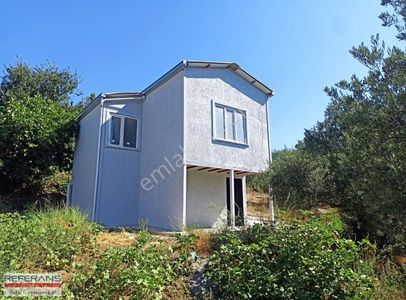 Arsa-Zeytinlik
