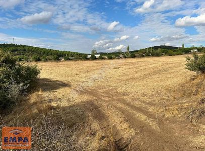 Arsa-Tarla