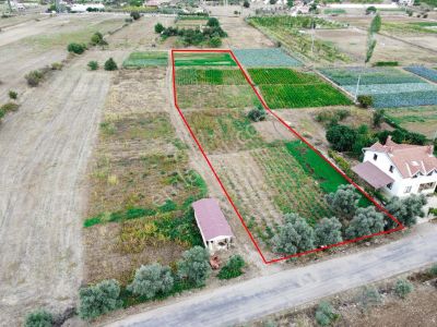 Arsa-Konut İmarlı