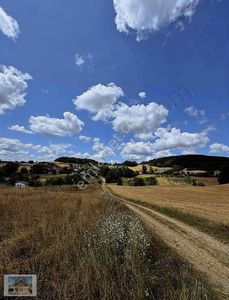 Arsa-Tarla