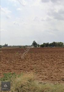 Arsa-Konut İmarlı