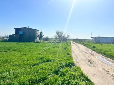 Arsa-Tarla