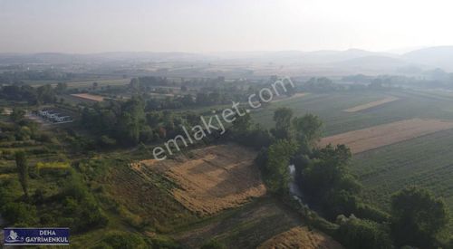 Arsa-Depo, Antrepo İzinli