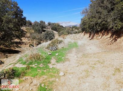 Tavas Vakıf'ta Bu Fiyata Parsel Yok