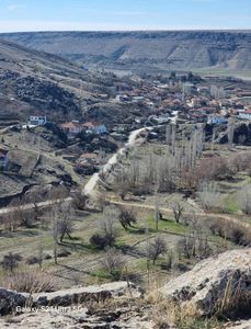 Arsa-Bağ & Bahçe