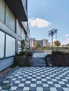 İşyeri-Plaza Katı
