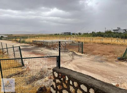 Arsa-Bağ & Bahçe