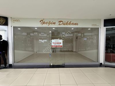 İşyeri-Dükkan & Mağaza