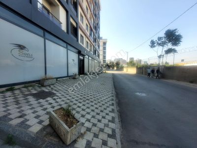 İşyeri-Dükkan & Mağaza