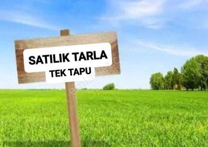 Arsa-Tarla