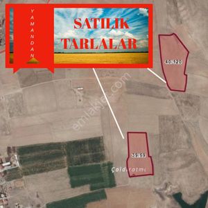 Arsa-Tarla