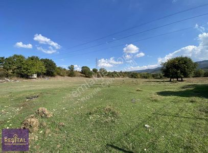 Arsa-Tarla