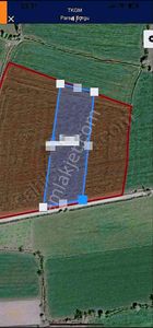 Arsa-Özel Kullanım