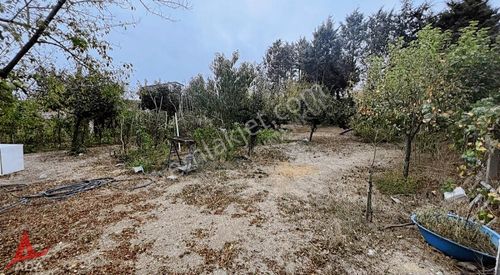 Arsa-Konut İmarlı