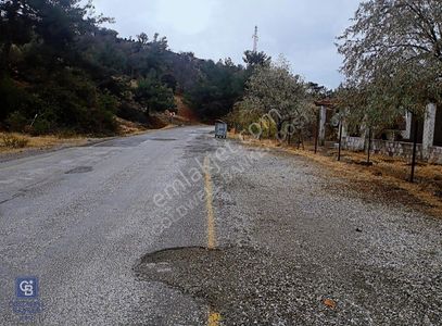 Arsa-Bağ & Bahçe