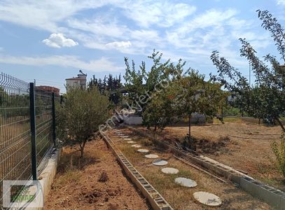 Arsa-Konut İmarlı