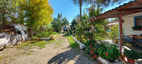 Arsa-Arazi