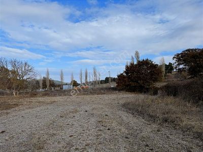 Arsa-Tarla