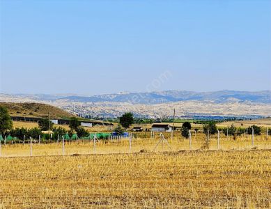 Arsa-Tarla