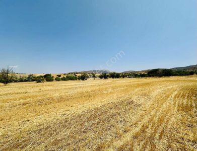 Arsa-Tarla