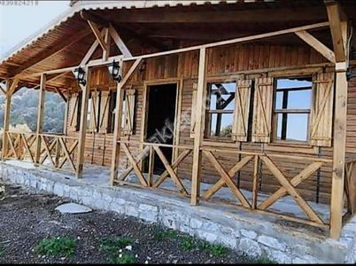 Arsa-Zeytinlik