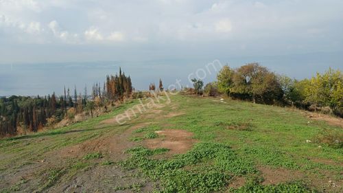 Arsa-Konut İmarlı