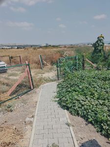 Arsa-Bağ & Bahçe