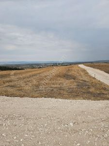 Arsa-Arazi