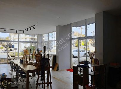 İşyeri-Dükkan & Mağaza