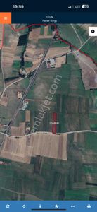 Arsa-Tarla