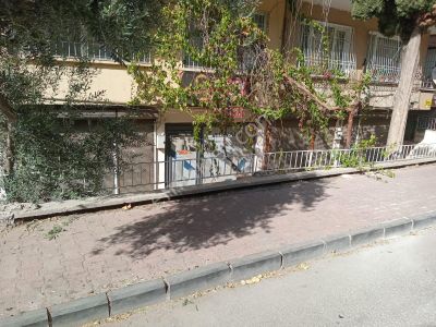 İşyeri-Dükkan & Mağaza