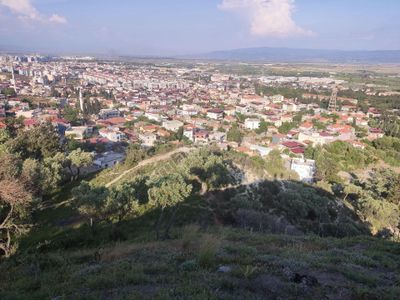 Arsa-Zeytinlik