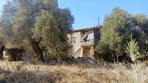 Arsa-Konut İmarlı