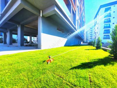 İşyeri-Dükkan & Mağaza