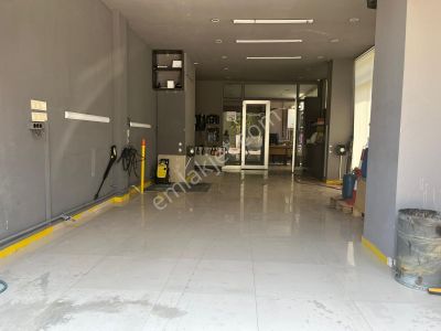 İşyeri-Dükkan & Mağaza