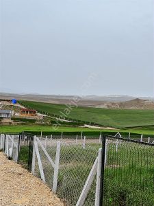 Arsa-Bağ & Bahçe