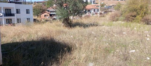 Arsa-Villa İmarlı