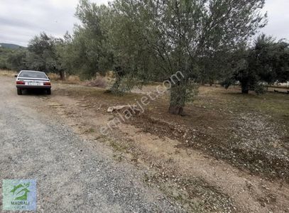 Arsa-Villa İmarlı