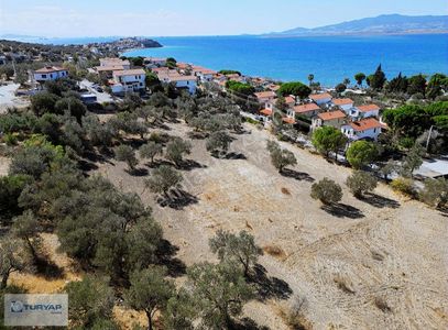 Arsa-Zeytinlik