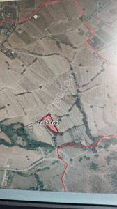 Arsa-Tarla