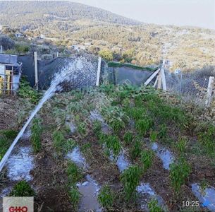 Arsa-Bağ & Bahçe