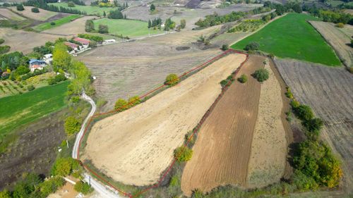Arsa-Tarla