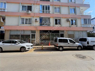 İşyeri-Dükkan & Mağaza