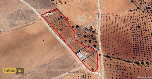 Arsa-Depo, Antrepo İzinli