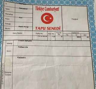 Arsa-Tarla