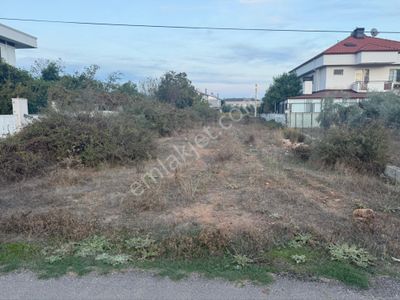 Arsa-Konut+Ticaret Alanı