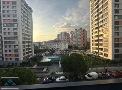 Konut-Daire